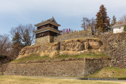 尼ヶ淵と西櫓｜高解像度画像サイズ：8639 x 5759 pixels｜写真番号：5DSA4574｜撮影：Canon EOS 5DS