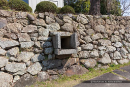 百間掘の樋｜高解像度画像サイズ：8688 x 5792 pixels｜写真番号：5DSA4610｜撮影：Canon EOS 5DS