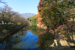 本丸水堀｜高解像度画像サイズ：4992 x 3328 pixels｜写真番号：VJ7Z8454｜撮影：Canon EOS-1Ds Mark II