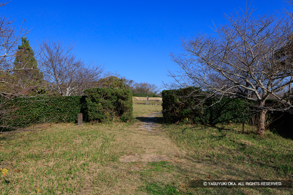 西の丸から本丸