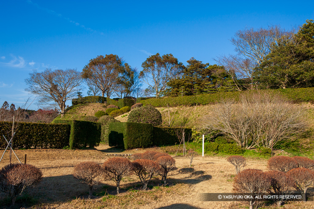 二の丸付近から西の丸帯曲輪