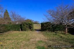 西の丸から本丸 | 高解像度画像サイズ：7452 x 4970 pixels | 写真番号：6F1A5808 | 撮影：Canon EOS R5m2