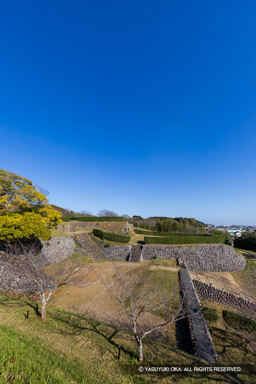西の丸から見る本丸東曲輪 | 高解像度画像サイズ：5464 x 8192 pixels | 写真番号：6F1A5821 | 撮影：Canon EOS R5m2