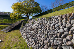 本丸南斜面中段玉石垣 | 高解像度画像サイズ：8192 x 5464 pixels | 写真番号：6F1A5857 | 撮影：Canon EOS R5m2