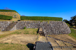 本丸南下門跡と東曲輪 | 高解像度画像サイズ：8192 x 5464 pixels | 写真番号：6F1A5862 | 撮影：Canon EOS R5m2