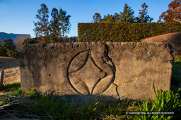 たたき製防火水槽・城主西尾氏の火消し紋・丸に七宝 | 高解像度画像サイズ：4992 x 3328 pixels | 写真番号：VJ7Z2876 | 撮影：Canon EOS-1Ds Mark II