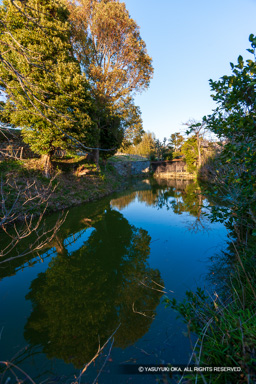 三日月池 | 高解像度画像サイズ：3324 x 4986 pixels | 写真番号：VJ7Z2881 | 撮影：Canon EOS-1Ds Mark II