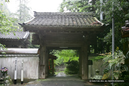 搦手門・本源寺山門・移築城門 | 高解像度画像サイズ：4755 x 3170 pixels | 写真番号：VJ7Z7880 | 撮影：Canon EOS-1Ds Mark II