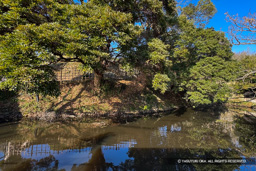 三日月池 | 高解像度画像サイズ：3350 x 2234 pixels | 写真番号：i2511_wab23 | 撮影：iPhone 15 Pro