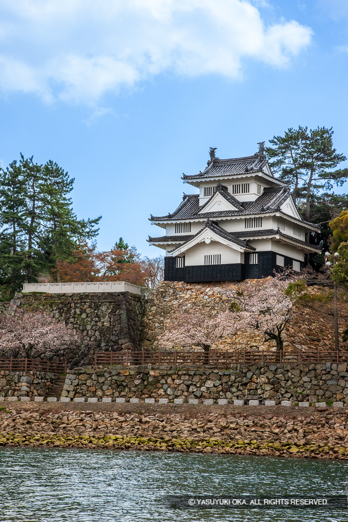 豊川ごしに見る吉田城鉄櫓・春の桜