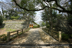 | 高解像度画像サイズ:5396 x 3597 pixels | 写真番号:1P3J6409 | 撮影:Canon EOS-1Ds Mark III