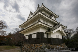 鉄櫓 | 高解像度画像サイズ:5265 x 3510 pixels | 写真番号:1P3J6437 | 撮影:Canon EOS-1Ds Mark III