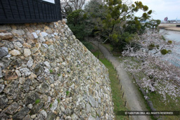 鉄櫓石垣 | 高解像度画像サイズ:5616 x 3744 pixels | 写真番号:1P3J6438 | 撮影:Canon EOS-1Ds Mark III