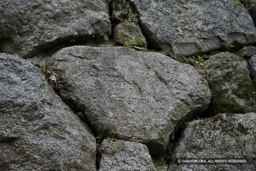 石垣刻印 | 高解像度画像サイズ:5616 x 3744 pixels | 写真番号:1P3J6440 | 撮影:Canon EOS-1Ds Mark III