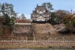 豊川ごしに見る吉田城鉄櫓・春の桜 | 高解像度画像サイズ：5124 x 3416 pixels | 写真番号：1P3J6455 | 撮影：Canon EOS-1Ds Mark III