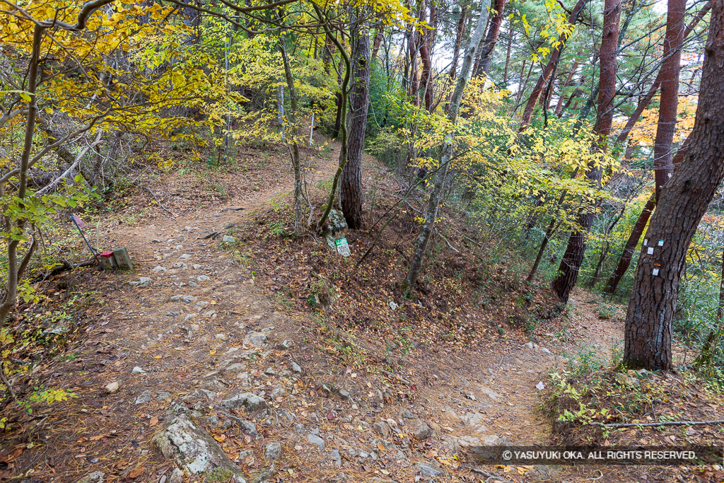 要害山城登城路・史跡境界