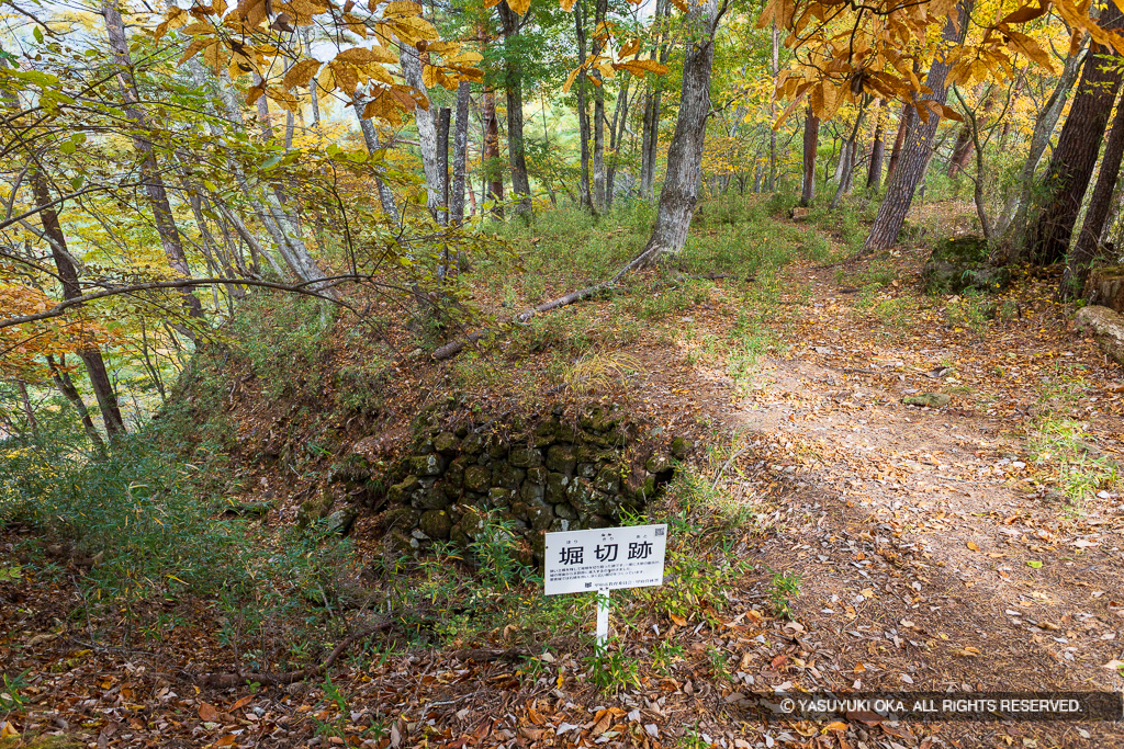 主郭堀切跡・土橋