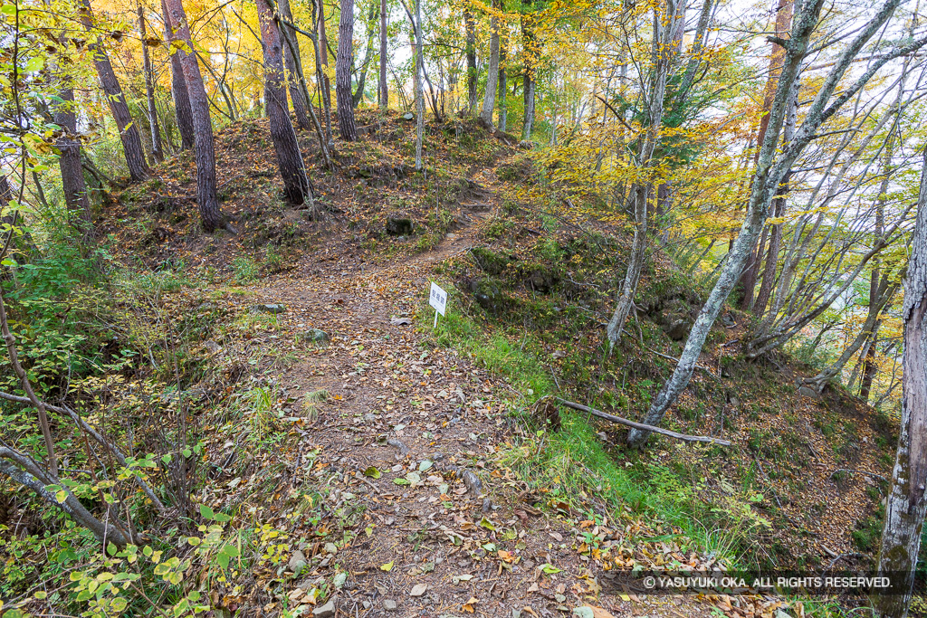 主郭堀切跡と土橋