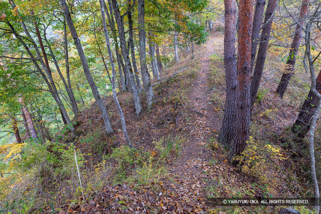 東端から城外を見る