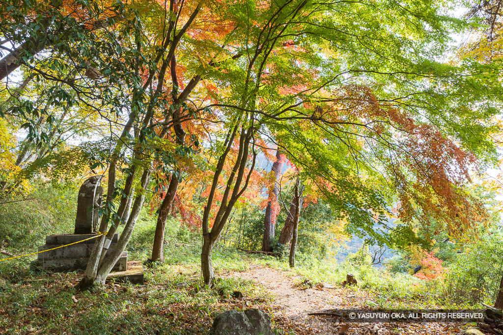 要害山城不動曲輪