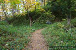 虎口跡 | 高解像度画像サイズ：8192 x 5464 pixels | 写真番号：6F1A5000 | 撮影：Canon EOS R5m2