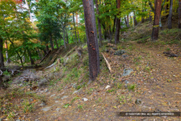 曲輪6から7 | 高解像度画像サイズ：8192 x 5464 pixels | 写真番号：6F1A5016 | 撮影：Canon EOS R5m2