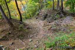 門跡・曲輪6 | 高解像度画像サイズ：8192 x 5464 pixels | 写真番号：6F1A5017 | 撮影：Canon EOS R5m2