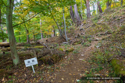 曲輪7 | 高解像度画像サイズ：8192 x 5464 pixels | 写真番号：6F1A5018 | 撮影：Canon EOS R5m2