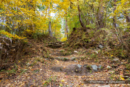 曲輪9門跡 | 高解像度画像サイズ：8192 x 5464 pixels | 写真番号：6F1A5031 | 撮影：Canon EOS R5m2