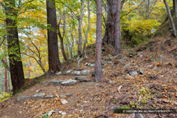  | 高解像度画像サイズ：8192 x 5464 pixels | 写真番号：6F1A5039 | 撮影：Canon EOS R5m2