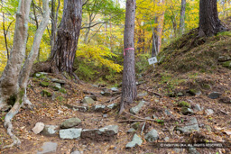 曲輪10門跡 | 高解像度画像サイズ：8192 x 5464 pixels | 写真番号：6F1A5042 | 撮影：Canon EOS R5m2