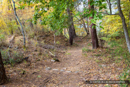曲輪10 | 高解像度画像サイズ：8192 x 5464 pixels | 写真番号：6F1A5045 | 撮影：Canon EOS R5m2