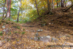  | 高解像度画像サイズ：8192 x 5464 pixels | 写真番号：6F1A5046 | 撮影：Canon EOS R5m2