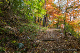  | 高解像度画像サイズ：8192 x 5464 pixels | 写真番号：6F1A5048 | 撮影：Canon EOS R5m2