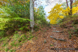 主郭虎口跡 | 高解像度画像サイズ：8192 x 5464 pixels | 写真番号：6F1A5050 | 撮影：Canon EOS R5m2