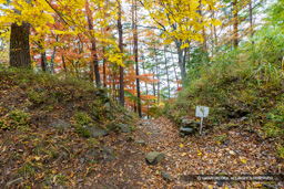 主郭虎口跡 | 高解像度画像サイズ：8192 x 5464 pixels | 写真番号：6F1A5054 | 撮影：Canon EOS R5m2