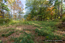 主郭 | 高解像度画像サイズ：8192 x 5464 pixels | 写真番号：6F1A5056 | 撮影：Canon EOS R5m2