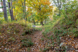 主郭門跡 | 高解像度画像サイズ：8192 x 5464 pixels | 写真番号：6F1A5065 | 撮影：Canon EOS R5m2