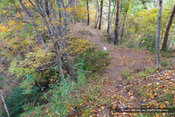 主郭東側土橋 | 高解像度画像サイズ：8192 x 5464 pixels | 写真番号：6F1A5072 | 撮影：Canon EOS R5m2