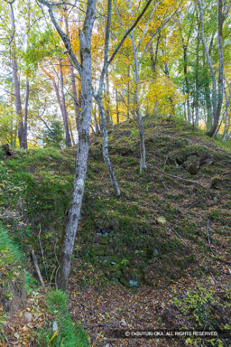 要害山城・主郭土橋石積 | 高解像度画像サイズ：5464 x 8192 pixels | 写真番号：6F1A5078 | 撮影：Canon EOS R5m2