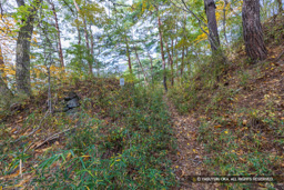 曲輪17門跡 | 高解像度画像サイズ：8192 x 5464 pixels | 写真番号：6F1A5080 | 撮影：Canon EOS R5m2