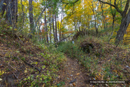  | 高解像度画像サイズ：8192 x 5464 pixels | 写真番号：6F1A5081 | 撮影：Canon EOS R5m2