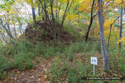 曲輪16から15 | 高解像度画像サイズ：8192 x 5464 pixels | 写真番号：6F1A5092 | 撮影：Canon EOS R5m2