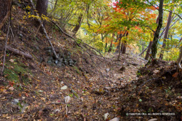  | 高解像度画像サイズ：8192 x 5464 pixels | 写真番号：6F1A5101 | 撮影：Canon EOS R5m2