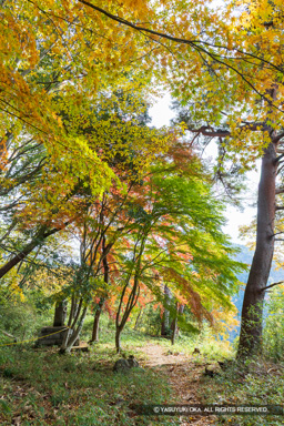要害山城不動曲輪 | 高解像度画像サイズ：5464 x 8192 pixels | 写真番号：6F1A5106 | 撮影：Canon EOS R5m2