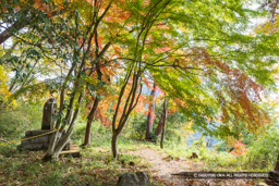 要害山城不動曲輪 | 高解像度画像サイズ：8192 x 5464 pixels | 写真番号：6F1A5107 | 撮影：Canon EOS R5m2