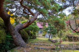 積翠寺 | 高解像度画像サイズ：8192 x 5464 pixels | 写真番号：6F1A5115 | 撮影：Canon EOS R5m2
