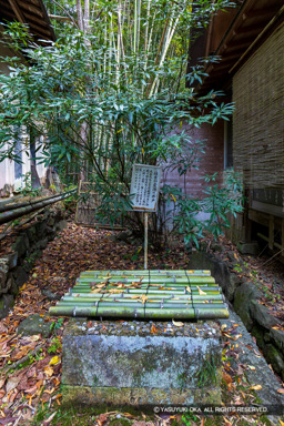 武田信玄公産湯の井戸 | 高解像度画像サイズ：5161 x 7737 pixels | 写真番号：6F1A5120 | 撮影：Canon EOS R5m2