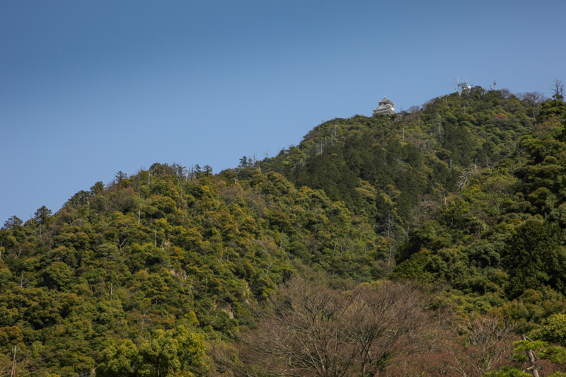 山麓から見た稲葉山