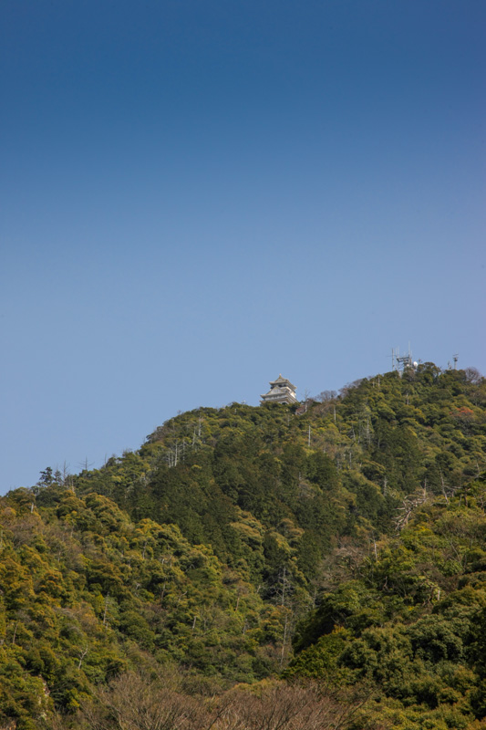 山麓から見た稲葉山